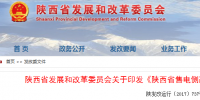 《陜西省售電側改革試點實施細則(暫行)》：公開電網結構 限制售電公司申報電量