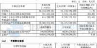 華能國際：2017上半年實(shí)現(xiàn)權(quán)益利潤7.88億元 風(fēng)電裝機(jī)超3800兆瓦