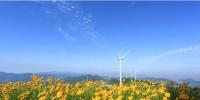浙江寧波寧海一市風(fēng)電場(chǎng):要效益 更要綠色