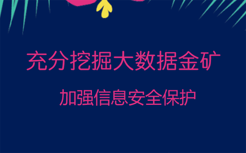 充分挖掘大數(shù)據(jù)金礦 加強信息安全保護