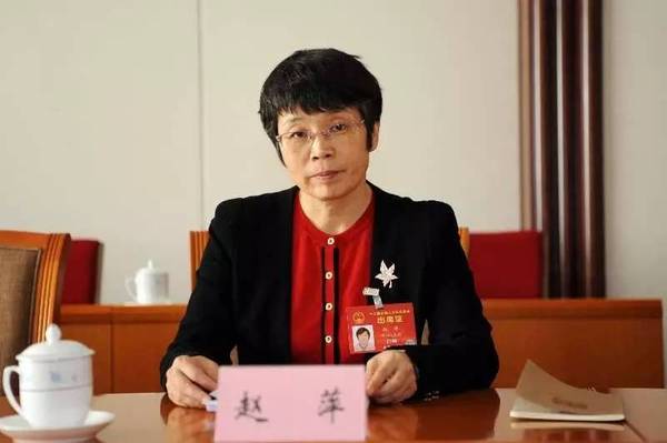 東方風(fēng)電趙萍：海上風(fēng)機(jī)大型化是趨勢，中國已落后一步