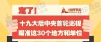 定了！華電集團(tuán)、中核集團(tuán)將接受十九屆中央第一輪巡視
