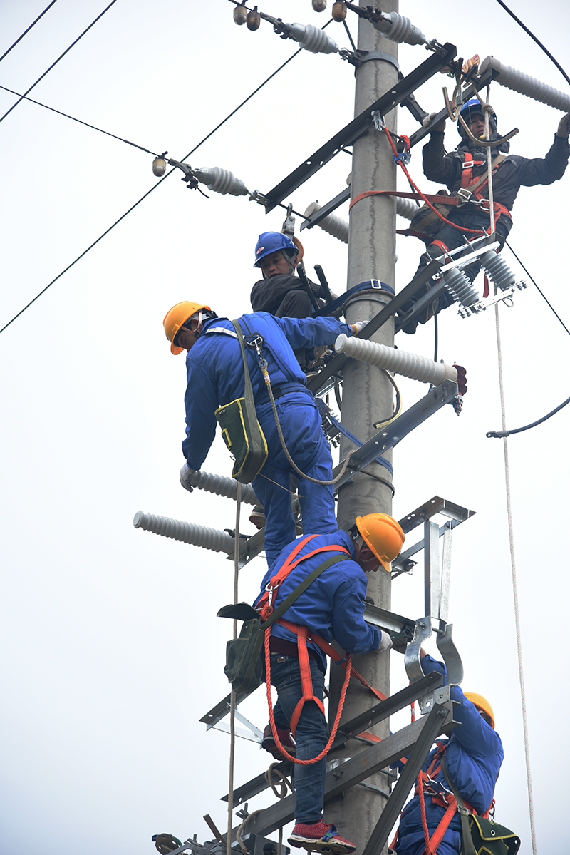 靈川供電線路專項(xiàng)整治確保新春用電