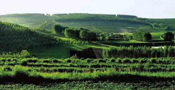 我國(guó)最大國(guó)有林區(qū)碳匯交易額超百萬(wàn)
