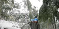 浙江電力啟動(dòng)預(yù)防雨雪冰凍<font color=