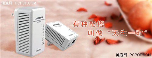 電力貓的版本眾多，從電力線傳輸技術(shù)上就可以分為HomePlug和G.hn，采用相同電力線通信技術(shù)的電力貓還可以分為有線電力貓和無線電力貓，而在無線電力貓中還有無線AP和無線路由的區(qū)別。外觀功能上的區(qū)別就更大了，以ZINWELL為例，就先后推出了單口有線電力貓，帶電源延長(zhǎng)線的電力貓，多口有線電力貓，電力貓無線路由器，無線AP電力貓，帶電源插座的電力貓等。