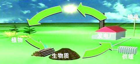 生物質(zhì)是替代核電、火電 彌補天然氣缺口的一種重要新能源