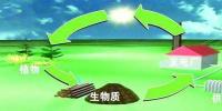 生物質(zhì)是替代核電、火電 彌補天然氣缺口的一種重要新能源