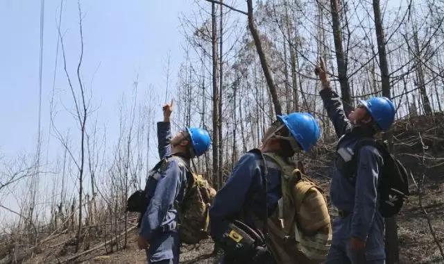 聽說最近輸電線路和鐵塔“火”啦！