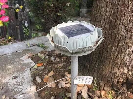 墓地傳來哭聲 周圍卻沒有人影 清明節(jié)你被光伏嚇著了嗎？