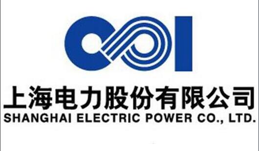 上海電力首個歐洲風(fēng)電項目圓滿完成第一臺風(fēng)機(jī)吊裝