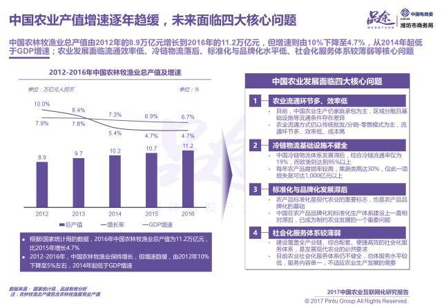 2017中國農(nóng)業(yè)互聯(lián)網(wǎng)化報(bào)告
