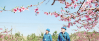 世界一流能源互聯(lián)網(wǎng)企業(yè)怎么建？國網(wǎng)已簽訂39個(gè)增量配電試點(diǎn)項(xiàng)目合作意向書