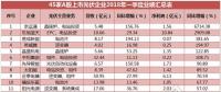 一季度45家光伏企業(yè)業(yè)績榜單登場：超八成飄紅，兩級分化現(xiàn)象嚴(yán)重