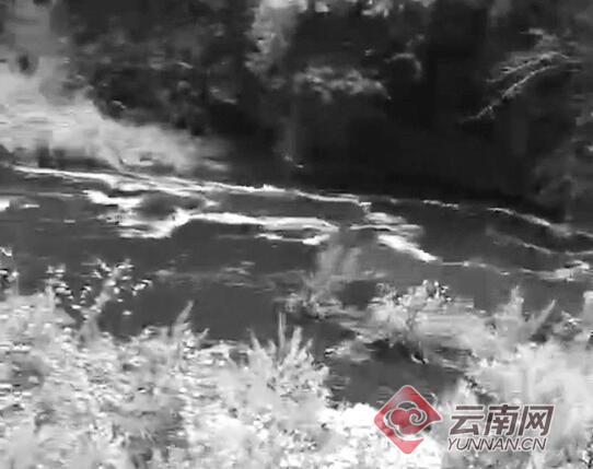 云南麗江部分水體變黑臭并有牲畜尸體，環(huán)保局：水閘放水引起