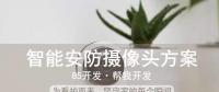 智能安防攝像頭方案，為看護(hù)而來，堅(jiān)守家的每個瞬間！