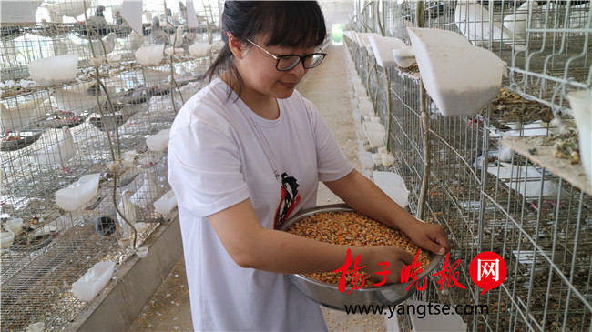 一個“80”后研究生的“綠色農(nóng)業(yè)夢”：用“互聯(lián)網(wǎng)+”思維做農(nóng)業(yè)，新型職業(yè)農(nóng)民“潮”起來