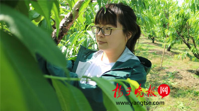 一個“80”后研究生的“綠色農(nóng)業(yè)夢”：用“互聯(lián)網(wǎng)+”思維做農(nóng)業(yè)，新型職業(yè)農(nóng)民“潮”起來