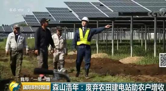 中國央企用光伏帶日本農民致富！10倍租金盤活荒廢農地
