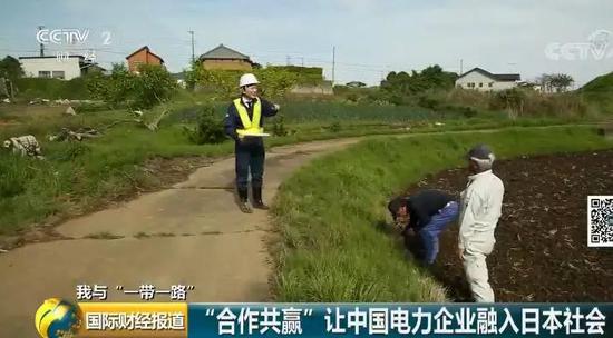 中國央企用光伏帶日本農民致富！10倍租金盤活荒廢農地
