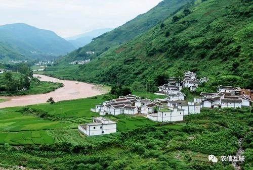 移動(dòng)互聯(lián)網(wǎng)走進(jìn)農(nóng)村，推動(dòng)農(nóng)業(yè)產(chǎn)業(yè)的智慧化轉(zhuǎn)型升級(jí) 