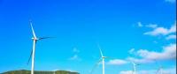 好一個龐然大物！欽州這個風電站建成這樣啦！
