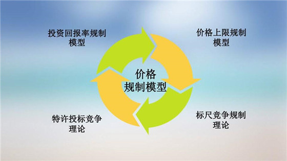 我國電力價格規(guī)制現狀、存在的問題及原因分析