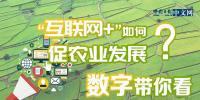 “互聯(lián)網(wǎng)+”如何促農(nóng)業(yè)發(fā)展?數(shù)字帶你看