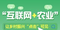 圖解丨“互聯(lián)網(wǎng)+農(nóng)業(yè)”讓鄉(xiāng)村振興“點(diǎn)擊”可見