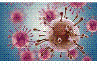 細(xì)菌也能作<font color=