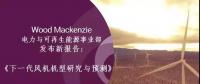 12-15MW+！歐洲“零補(bǔ)貼”海上風(fēng)場項目開發(fā)主要選型