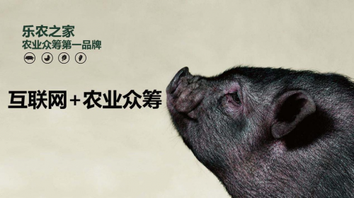 互聯(lián)網(wǎng)+農(nóng)業(yè)眾籌只賺吆喝 利潤(rùn)全被用戶拿走了？