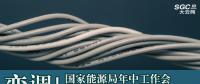 變調(diào)！國家能源局年中工作會透露出5方面變化