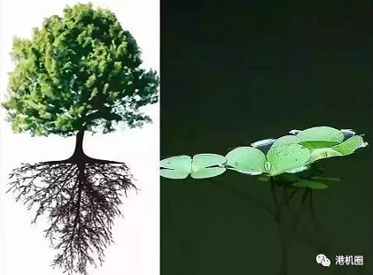 插樁式、坐底式 詳解海上風(fēng)電安裝平臺(tái)的作業(yè)方式