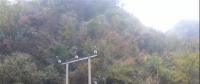 湖北整治關(guān)停100多座小水電站 , 其中宜昌48座、神農(nóng)架林區(qū)21座、恩施20座