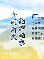 讀圖｜2020政府工作報告中這些內(nèi)容，和能源電力有關(guān)！