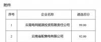2025年云南電力市場保底售電公司候選名單公示！